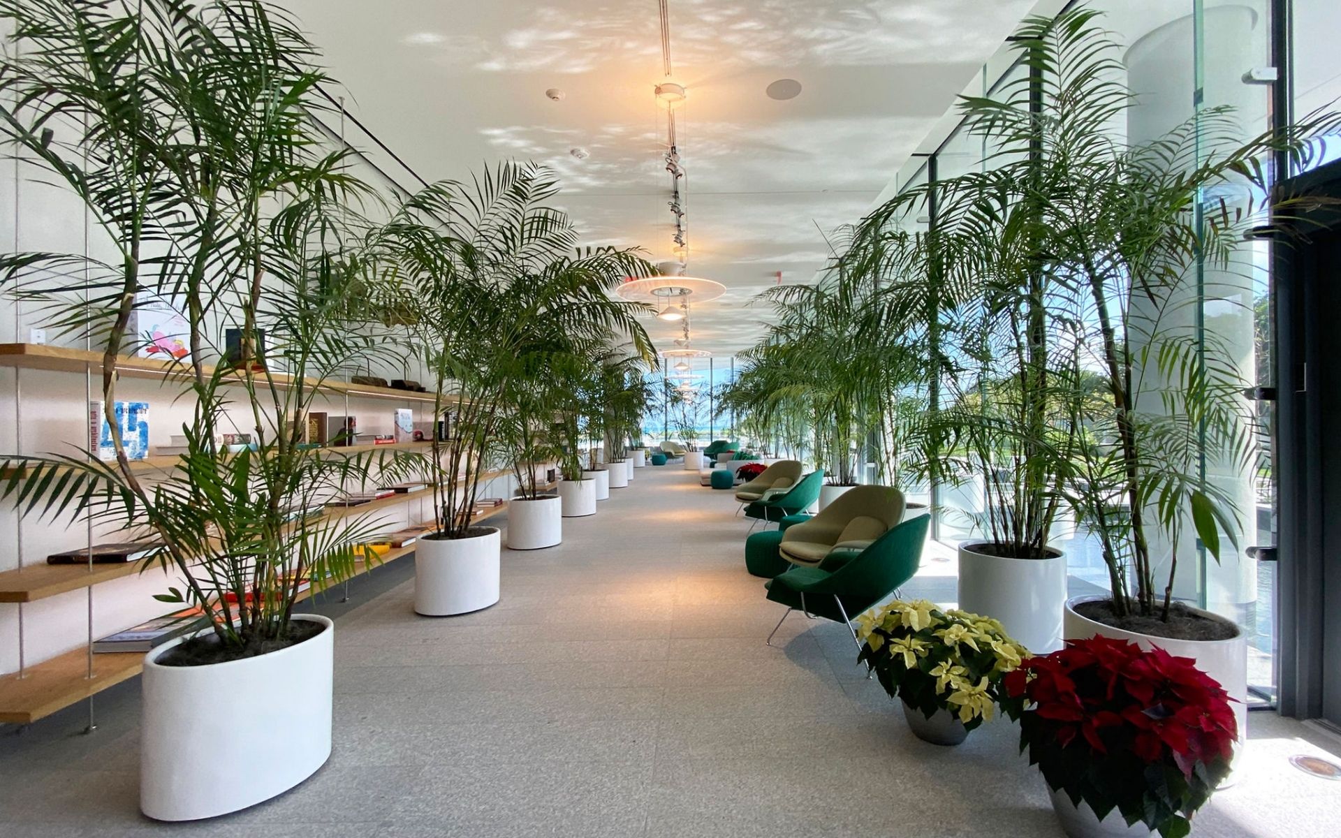 inside lobby at 87 park lines with lush trees and modern furniture