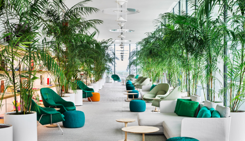 large lobby area at 87 park residences with bamboo plants and turquoise chairs.